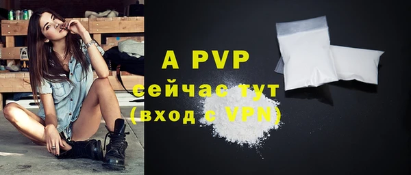 дурь Лабытнанги